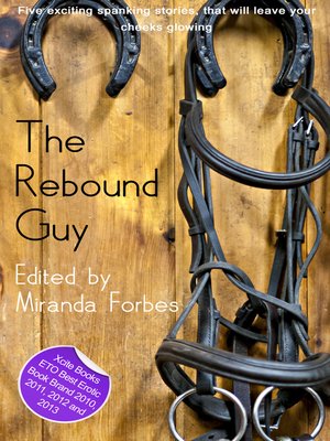 The Rebound Guy - ebook
